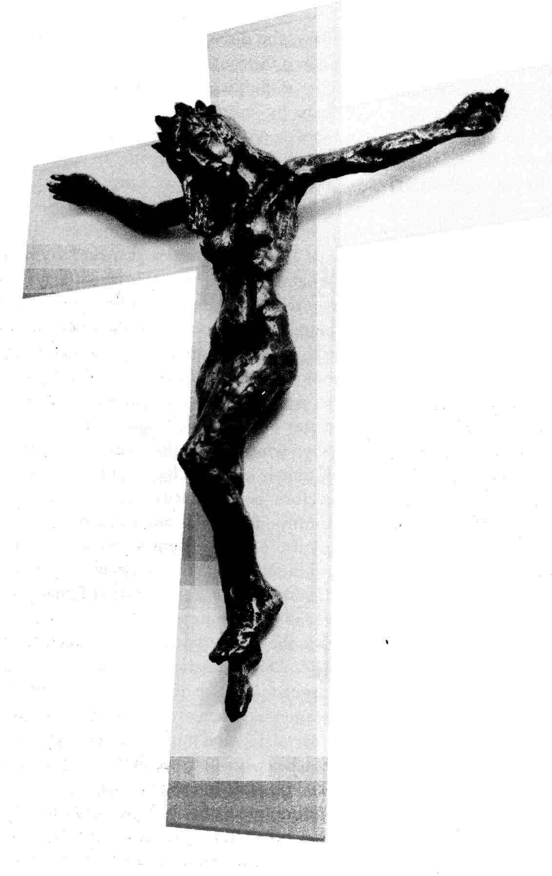 christa.jpg (115931 bytes)