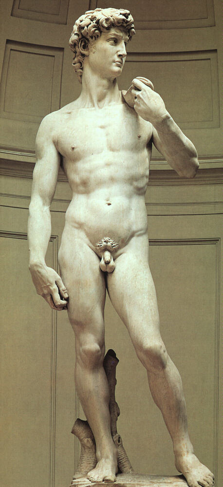 david3.jpg (76480 bytes)
